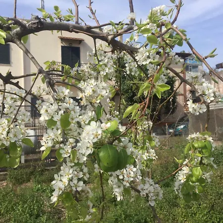 Il Giardino Di Nonno Agostino 3*
