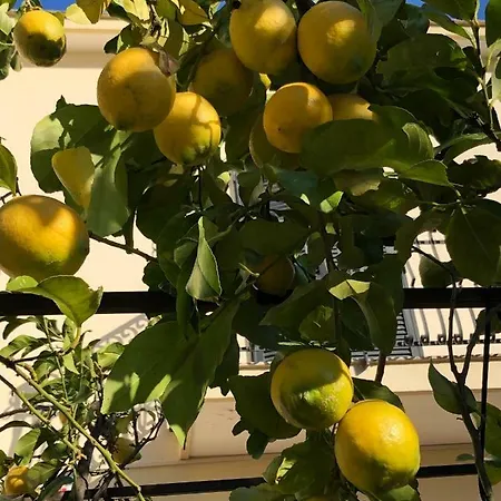 Il Giardino Di Nonno Agostino Alojamento de Acomodação e Pequeno-almoço 3*