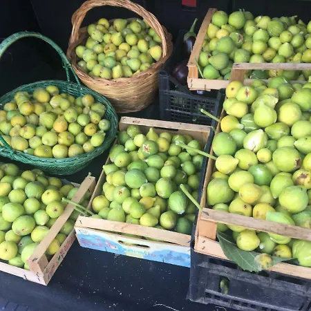 Il Giardino Di Nonno Agostino 3* Castellammare di Stabia