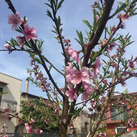 Il Giardino Di Nonno Agostino Bed & Breakfast