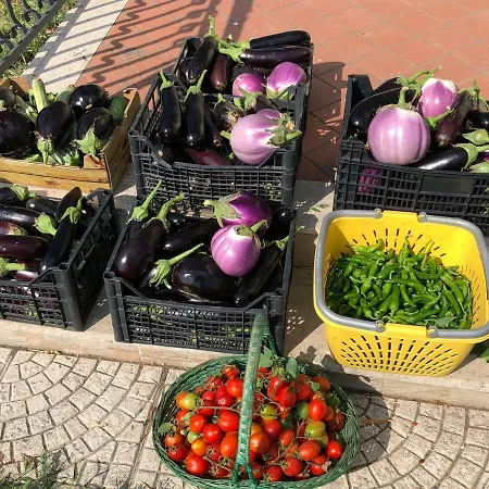 Il Giardino Di Nonno Agostino Castellammare di Stabia