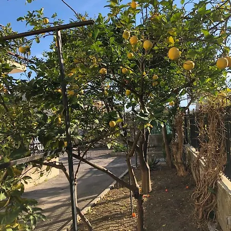 Bed & Breakfast Il Giardino Di Nonno Agostino 3*