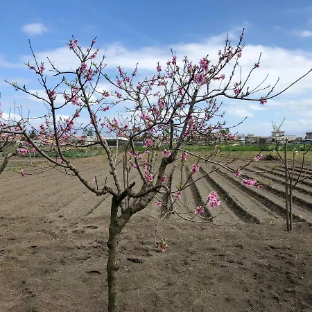 Il Giardino Di Nonno Agostino 3*